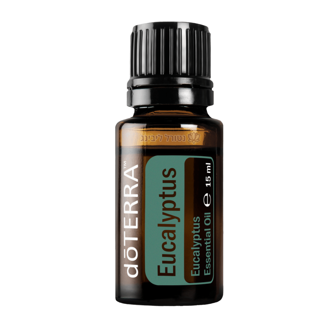 eucalyptus 15 ml