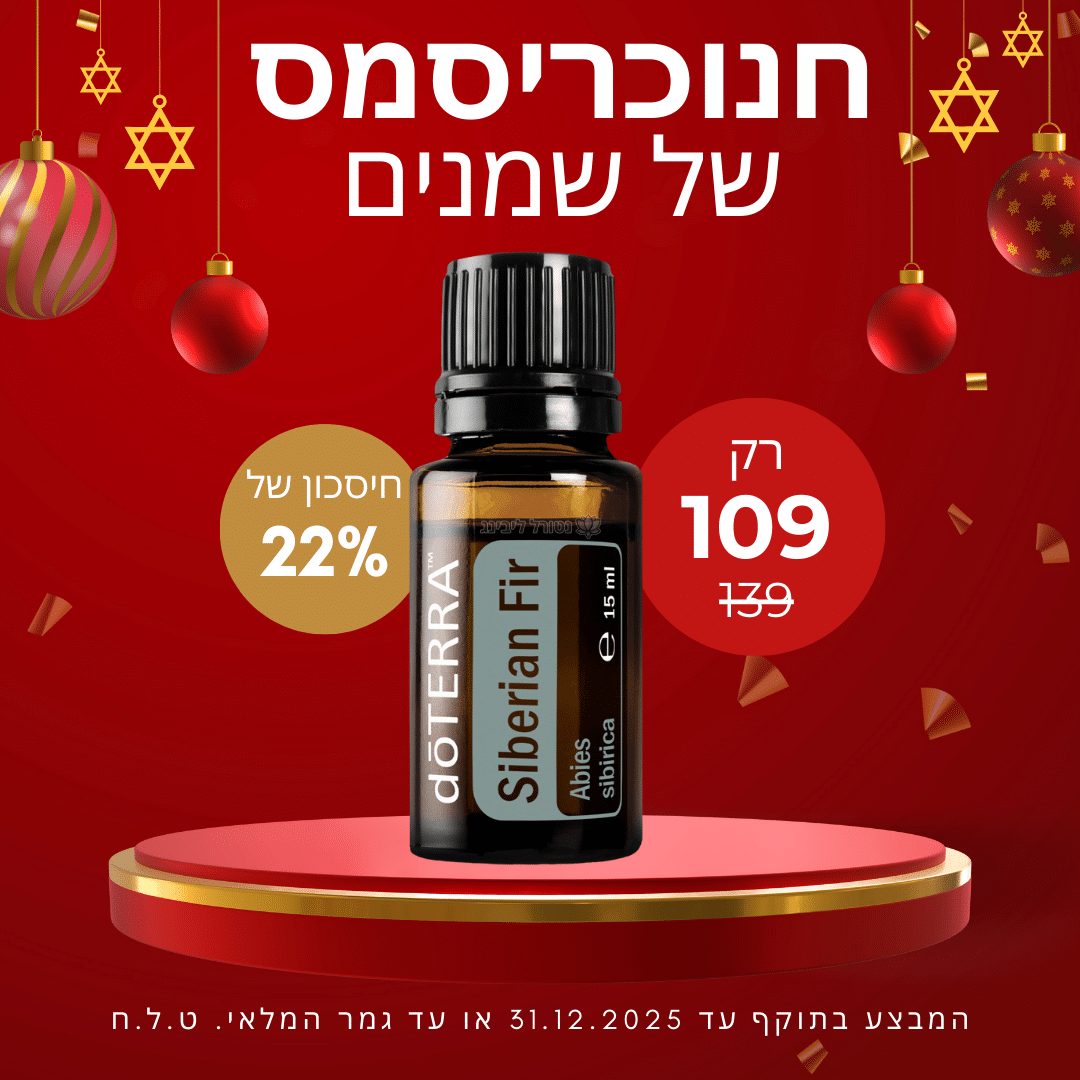 אשוח סיבירי