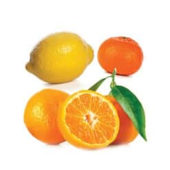 citrus bliss - שמן הדרים