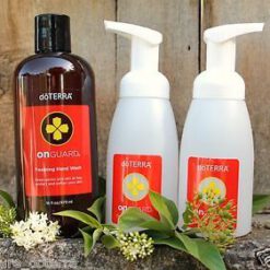 און גארד נוזל ידיים מוקצף + 2 דיספנסרים - On Guard