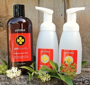 און גארד נוזל ידיים מוקצף + 2 דיספנסרים - On Guard און גארד נוזל ידיים מוקצף + 2 דיספנסרים - On Guard