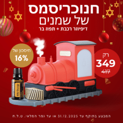 דיפיוזר רכבת עם שמן תפוז בר 15 מ"ל - Train Diffuser + Wild Orange