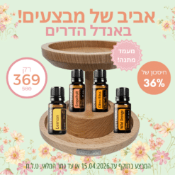 באנדל הדרים - תפוז בר, אשכולית, לימון, וסיטרוס בליס + מעמד עץ מהודר מתנה!
